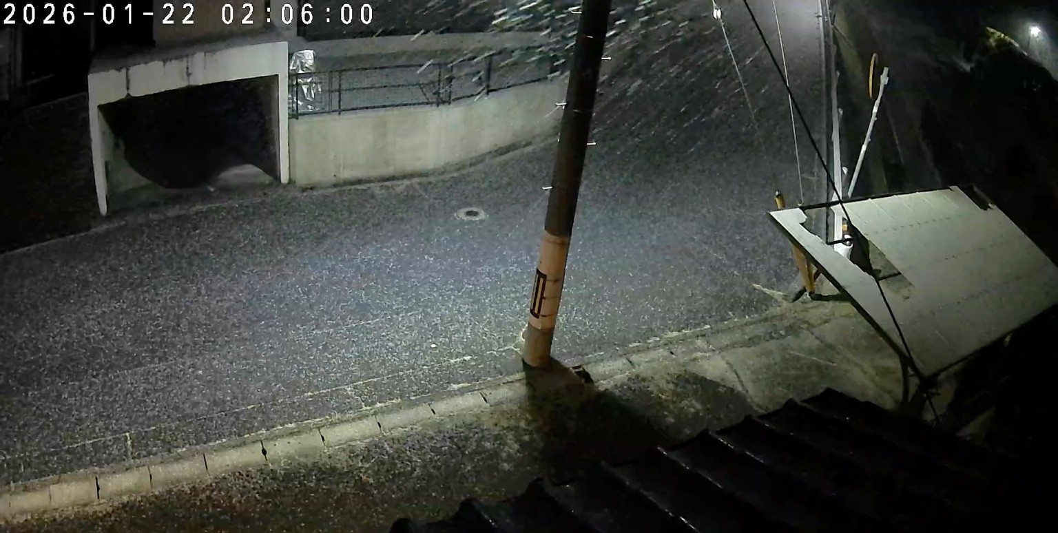 Wind-driven snowfall visible on the road near Nishishowadadai campus during the night.